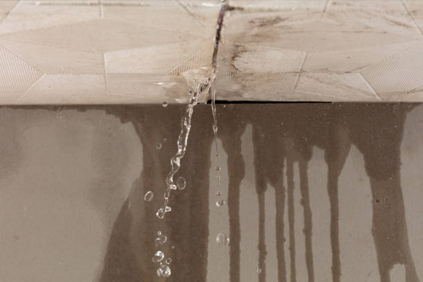 Professional Structural Drying technician working in Franklin, IN